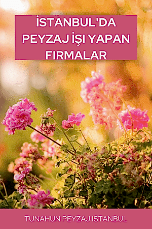 İstanbul'da Peyzaj İşi Yapan Firmalar